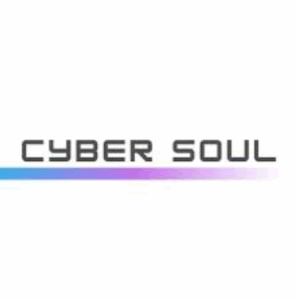 Top 23 rankingu agencji pr cyber souls
