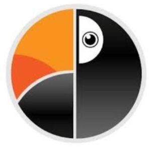 Top 40 rankingu agencji interaktywnych pollyart